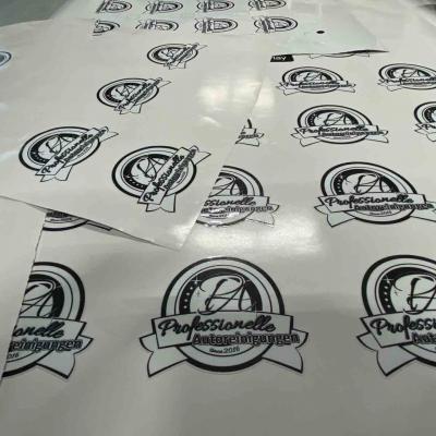 Stickers für eine Firma in Hägendorf die professionelle Autoreinigungen durchführt